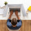 Set of 24 Plastic Study Partitions Ideal for School and-Black 4