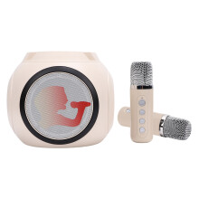 Kabelloses Karaokesystem mit 2 Mikrofonen, RGB-Beleuchtung, 1800mAh Akku