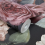 Grandeco Red Floral Wallpaper Multi Textured Feature Wall 3