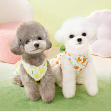 Schattige huisdierkleertjes voor katten en kleine honden - Charmante lente- en herfstkleding voor huisdieren