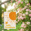 Λινάτσα Σημαίας Sunshine Garden Διπλής Όψης 12,5x18 4