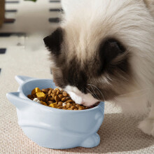 3 Pcs Elevated Pet Food Bowl, Wide Shallow Dish for Cats to Prevent Whisker Fatigue, Perfect Gift for Pet Owners