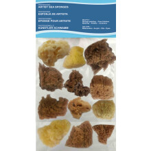 Artists Painting Natural Sea Sponges value pack - 12 pieces for Art & Craft, Paint, Hobbies, Effects, Ceramics, Pottery, Decorating, Sponging, Fine