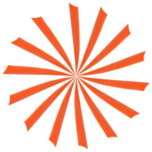 YELARXI Arrow Vanes Turkey Archery Arrows Feather Fletching, 5 Inch Right Wing Fit for Hunting Target Shooting (25Pcs Orange)