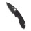 Spyderco C216GPBBK EFFICIENT Knife, Black, 10.5 cm 1