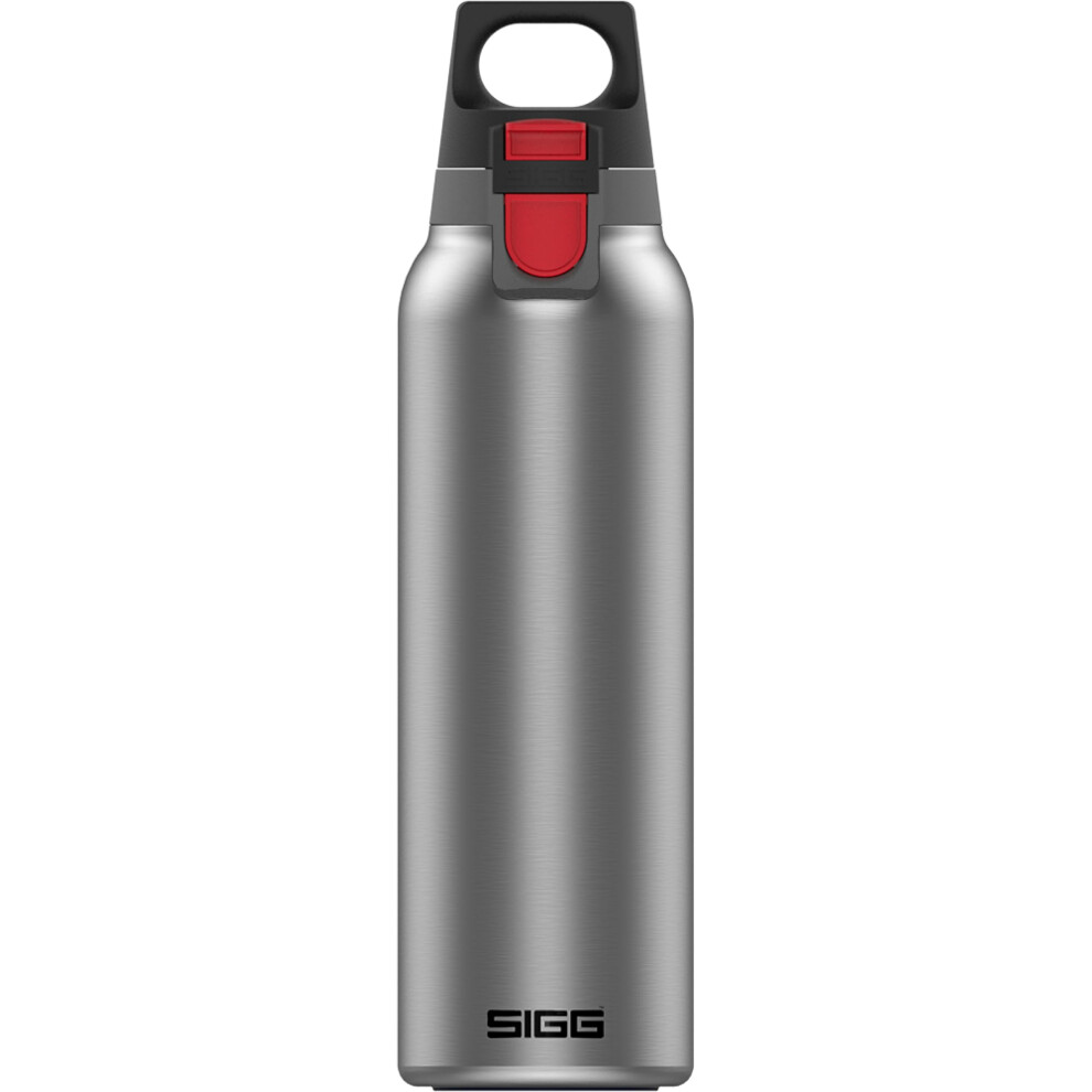 Sigg - Insulated Water Bottle - Thermo Flask Hot & Cold One - With Fruit Strainer - Leakproof - Bpa Free - 18/8 Stainless Steel - Brushed Light