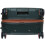 Pasadena Large Green/Bronze 5
