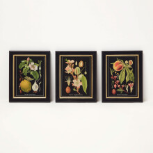 Botanical Fruit Wall Art, 20 x 25cm, Set of 3