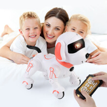 Robot Dog Toy Remote Control for Kids 5-12