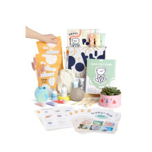 Pott'd at Home Pottery Kit for Adults, Air Dry