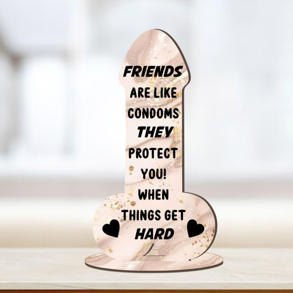 Funny Rude Friendship Plaque Pixie's Gifts