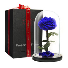 LOVAPPY Preserved Forever Rose in Glass Dome -