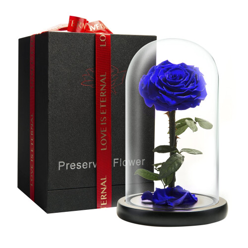 LOVAPPY Preserved Forever Rose in Glass Dome -
