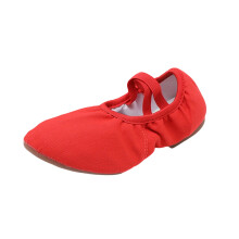 Low Heel Rubber Sole Dance Shoes For Women Canvas Material Slip-On Style 1Cm Heel Comfort Practice Teacher Indoor Footwear Size 9 Us