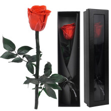 ZephyrCraft Eternal Real Rose in Box, Preserved