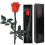 ZephyrCraft Eternal Real Rose in Box, Preserved 1