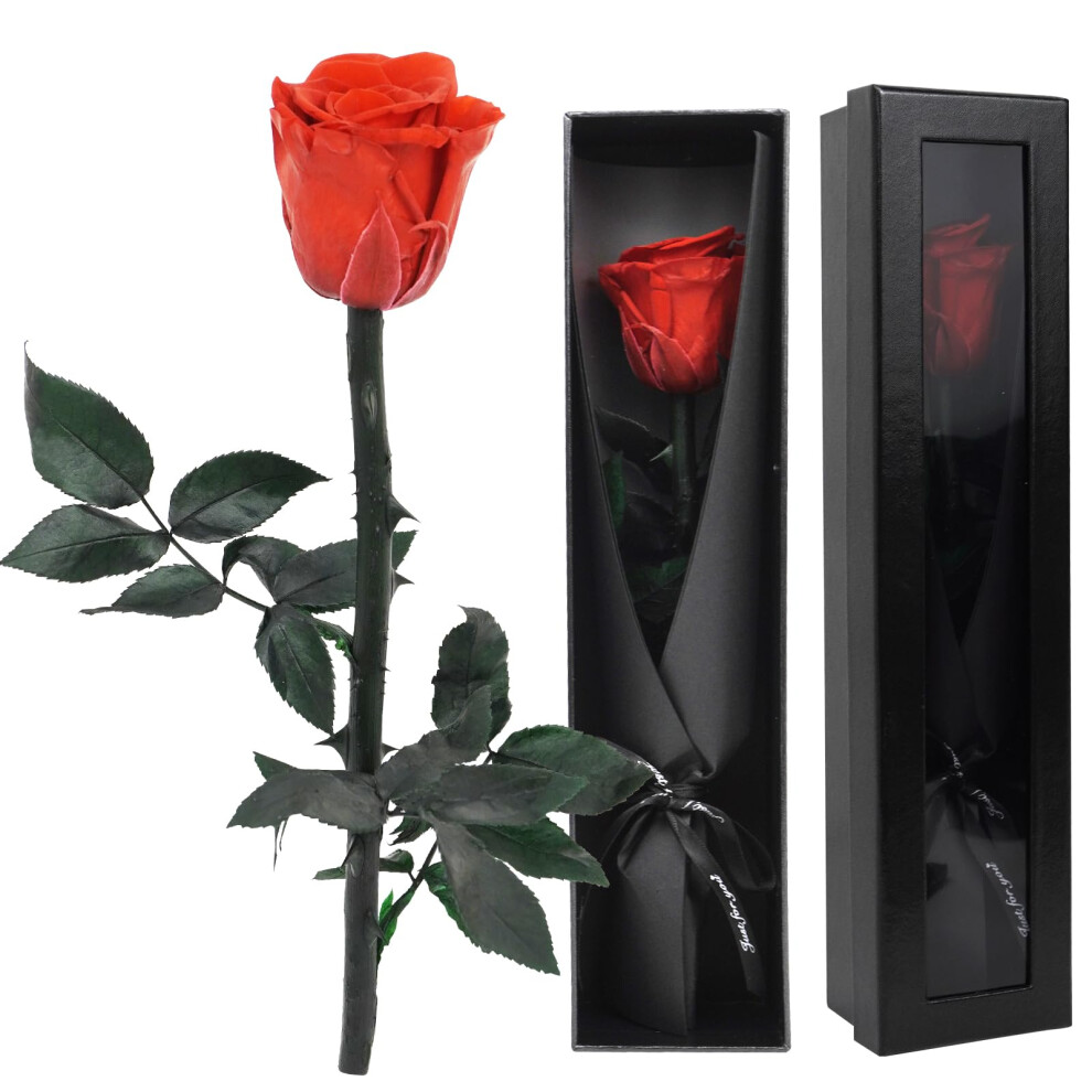 Zephyrcraft Eternal Real Rose In Box, Preserved 3617988347644