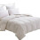 HOMEFOUCS Luxurious Goose Feather & Down Duvet 1