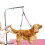BE-TOOL Dog Grooming Harness Adjustable Dual or Single Rope 4