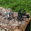 Men's Stainless Steel Spider Ring Black Size 8 4