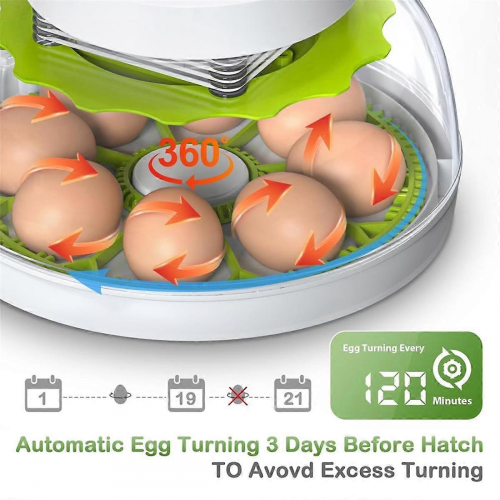 Egg Incubator with Automatic Egg Flipping Function, Temperature and Humidity Digital Control, Supporting 8 Eggs EU Plug 1