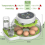 Egg Incubator with Automatic Egg Flipping Function, Temperature and Humidity Digital Control, Supporting 8 Eggs EU Plug 5