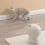 Automatic Interactive Laser Cat Toy, Automatic Rotating Laser Pointer Gift 5