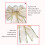 Christmas Mesh Bows Glitter Gold Edge 12 Pack 6