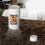 for Durable insect Composting Bin: Efficient, Space-Saving Solution for Gardens! 5