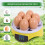 Supvox Chicken Brooder with Fan and Semi-Automatic Egg 6