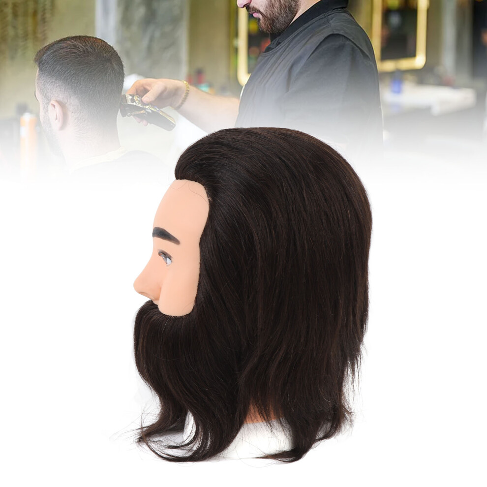Realistic Male Mannequin Head with Beard for Salon