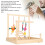 Parrot Exercise Stand Solid Wood Bird Cage Perch for Play & Training 3