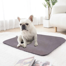 EGYMEN Winter Dog Bed 14"x17", Thick Cozy Shelter w/ Detachable Washable Cover, Corduroy Pet Mattress for Puppies/Kittens (Gray)