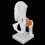 Realistic Human Hip Bone Model for Medical Education Anatomical Teaching Tool 10