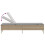 VidaXL vidaXL Sonnenliege mit Auflage Beige Poly Rattan 7