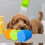 Portable Pets Head With  Food Safe Silicone Construction-Blue 5