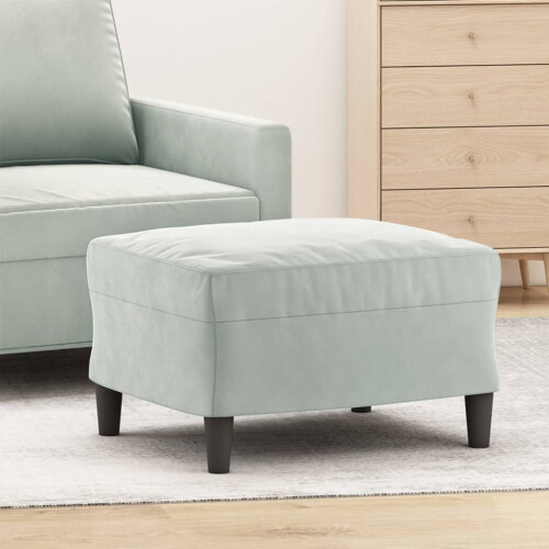 VidaXL vidaXL Fußhocker Hellgrau 60x50x41 cm Samt 1