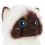 Peluche chat Mikilon, petit modèle réaliste en position assise, 20 cm 4