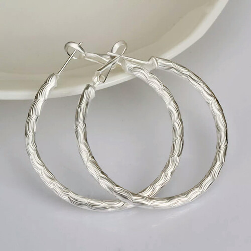 925 Sterling Silver Hoop Pierced Earrings L3-default 1