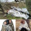 King Size Reversible Plush Microfiber Blanket 108x90 in 6