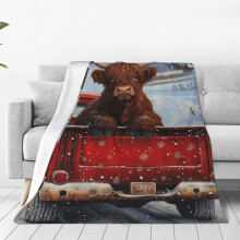 Highland Cow Brown Cow In Red Truck Printed Throw Blanket，Kids Adults Soft Lightweight Flannel Fleece Blanket for Couch Sofa Bed Living Room