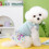 Robe de princesse printemps-automne pour chats et petits chiens 2