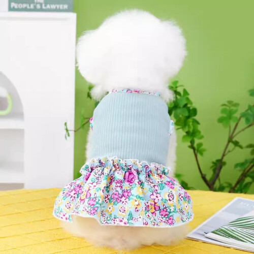 Robe de princesse printemps-automne pour chats et petits chiens 2