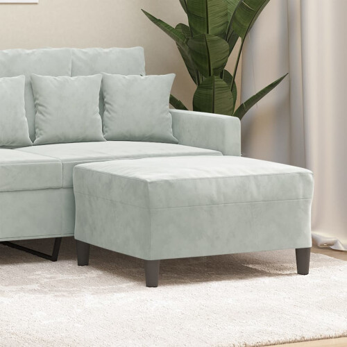 VidaXL vidaXL Fußhocker Hellgrau 70x55x41 cm Samt 1