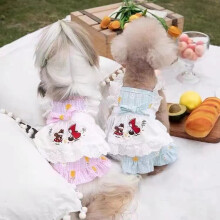 Niedliche Haustierkleidung für Katzen und kleine Hunde – bezaubernde Frühlings- und Herbstmode