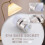 Adaptateur pour ampoule AC 220V B22 vers E14, lot de 4 5