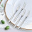 12 fourchettes dessert inox 13cm 3