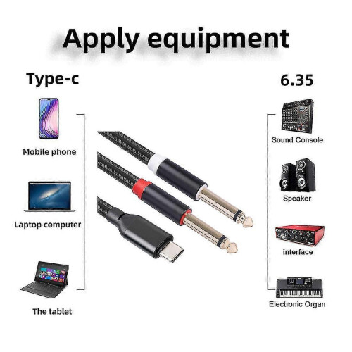Câble audio stéréo USB-C vers double prise jack 6,35 mm pour smartphone et multimédia 2