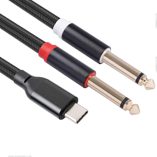 Câble audio stéréo USB-C vers double prise jack 6,35 mm, 1 mètre 1