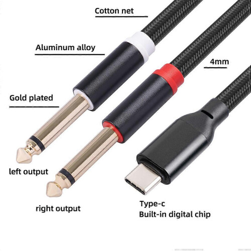 Câble audio stéréo USB-C vers double prise jack 6,35 mm, 1 mètre 2